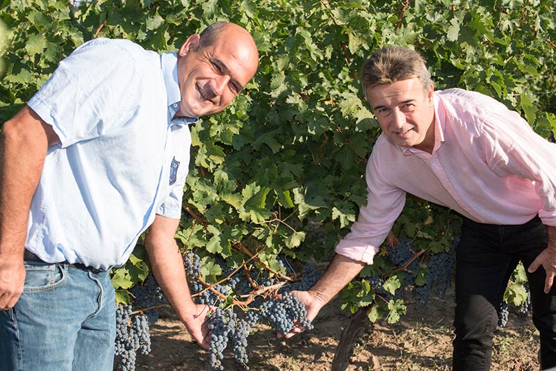 Environment | Château Elixir de Gravaillac vins de Bordeaux